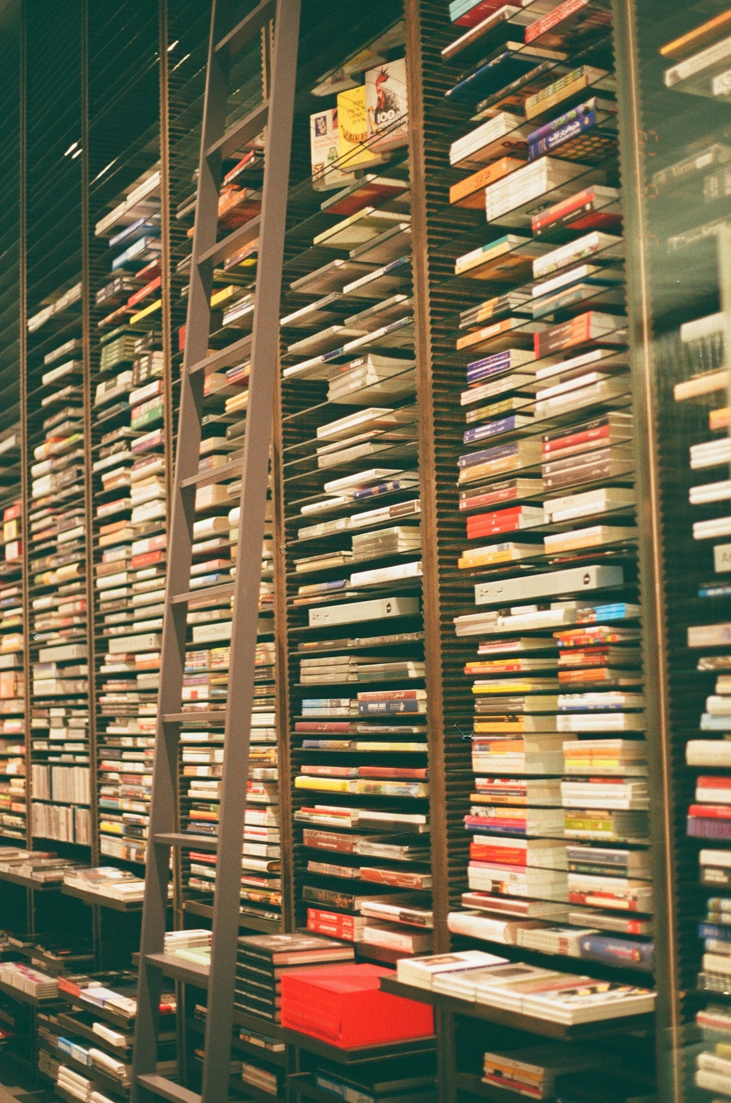 Guía para elegir lecturas según la edad